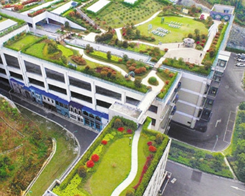 夏天應該怎樣養護植物墻？